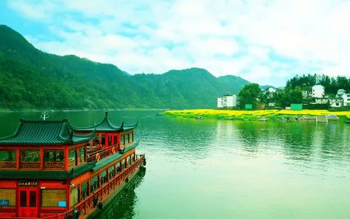 绿色绿色全自动